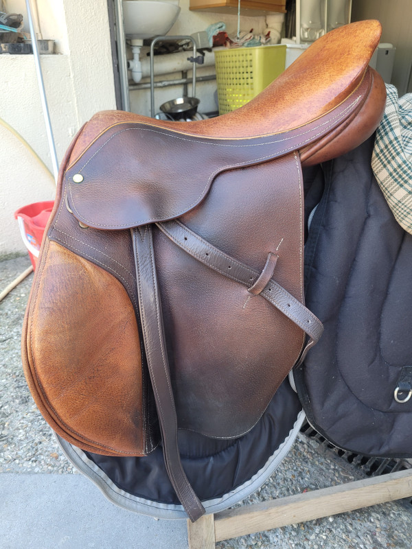 Image cheval
